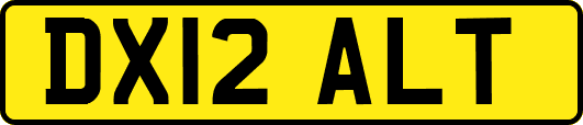 DX12ALT