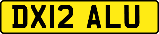 DX12ALU