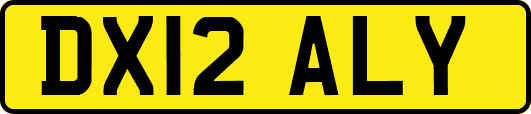 DX12ALY