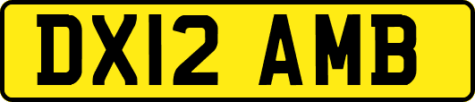 DX12AMB