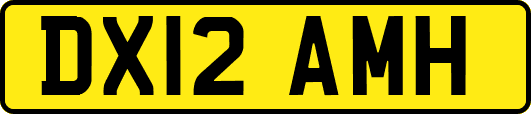 DX12AMH