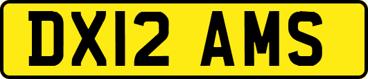 DX12AMS