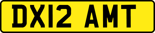DX12AMT