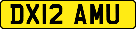 DX12AMU
