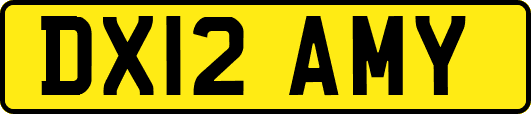 DX12AMY