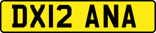 DX12ANA