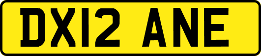 DX12ANE