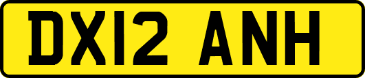 DX12ANH