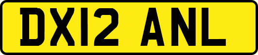 DX12ANL
