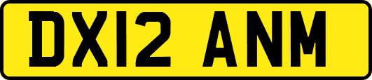 DX12ANM