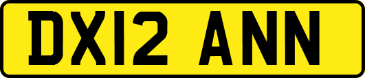 DX12ANN