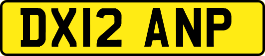 DX12ANP