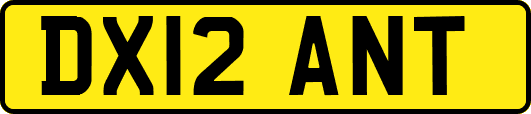 DX12ANT
