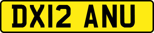 DX12ANU