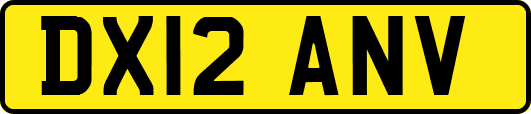 DX12ANV