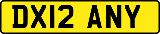 DX12ANY