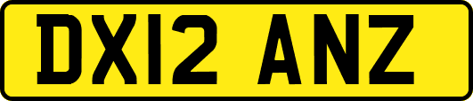 DX12ANZ
