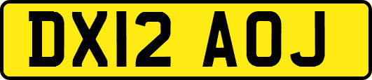 DX12AOJ