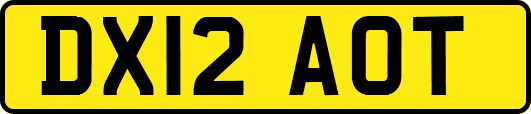 DX12AOT