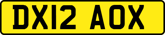 DX12AOX