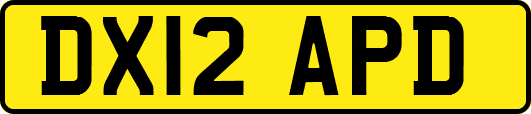 DX12APD