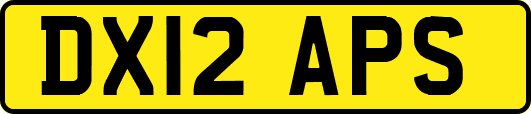 DX12APS