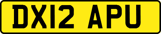 DX12APU