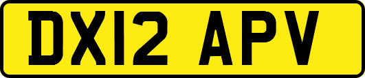 DX12APV