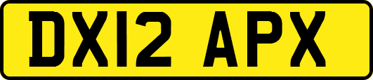 DX12APX