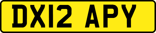 DX12APY