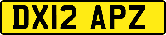 DX12APZ