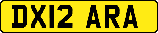 DX12ARA
