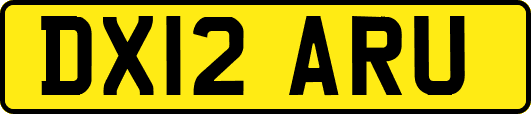 DX12ARU