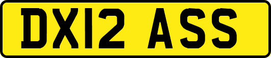 DX12ASS