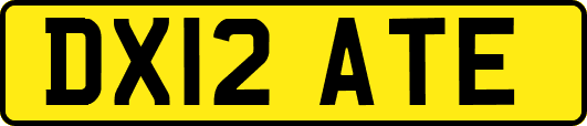 DX12ATE