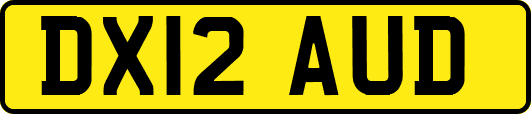 DX12AUD