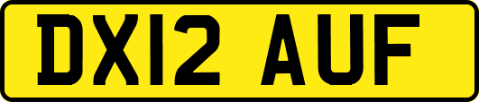 DX12AUF