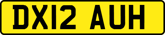 DX12AUH