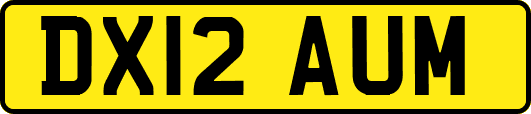 DX12AUM