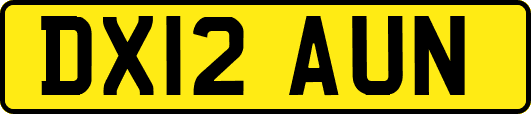DX12AUN