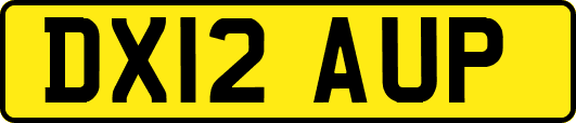 DX12AUP