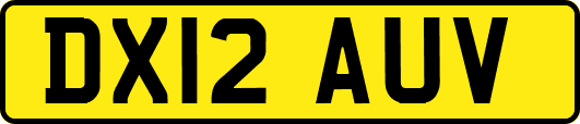 DX12AUV