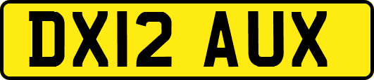 DX12AUX