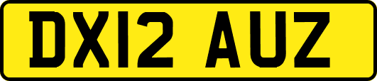 DX12AUZ