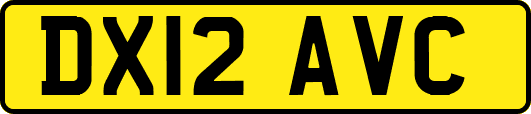 DX12AVC