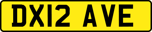 DX12AVE