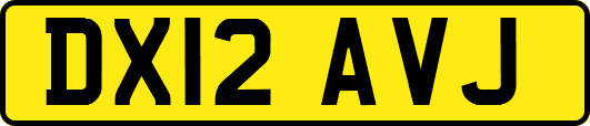 DX12AVJ