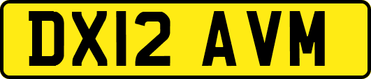 DX12AVM