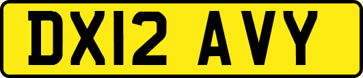 DX12AVY