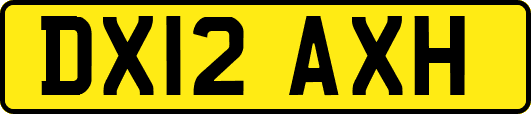 DX12AXH